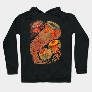 Haeckel Discomedusae Enhanced Antique Engraving Hoodie